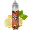 Příchuť Chill Pill S&V 12ml Atomic Fluid