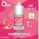 Liquid Oree SALT Watermelon Ice - Ledový meloun 10ml - 10mg
