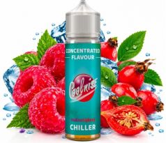 Příchuť CoolniSE S&V 10ml CHILLER
